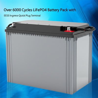 Over 6000 Cycles LiFePO4 Battery Pack with IP65 Ingress Protection and EES-6mm Quick Plug Terminal