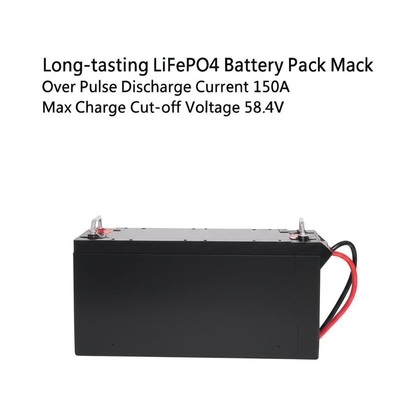Langdurige LiFePO4 batterij met meer dan 6000 cycli Max.Pulse ontladingstroom 150A Max.