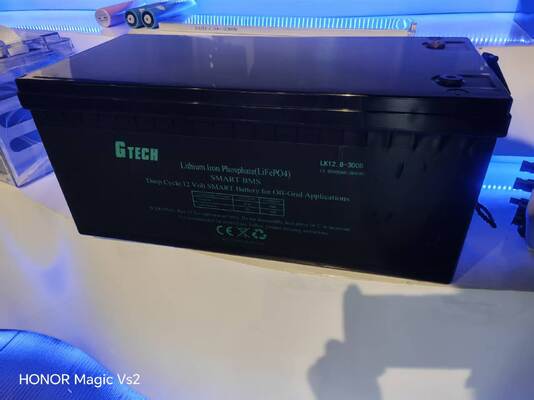 12.8V LiFePO4 batterij